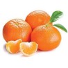 CLEMENTINE 4X700 GR