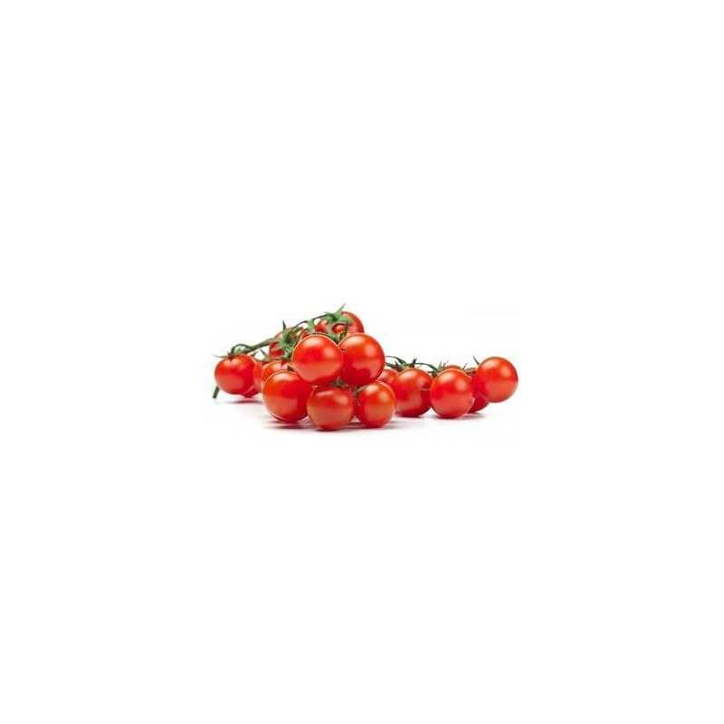 POMODORO CILIEGINO 6X500 GR