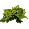 CIME DI RAPA  MR FROST CF DA 1000 GR