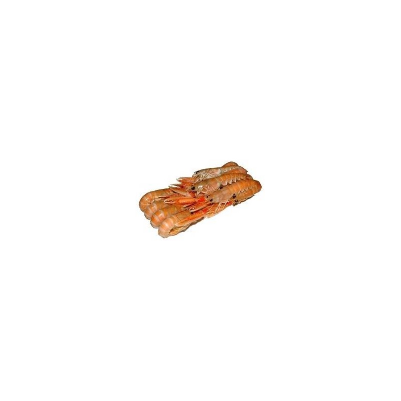 SCAMPI ARPESCA 21/30 CF  DA 500 GR