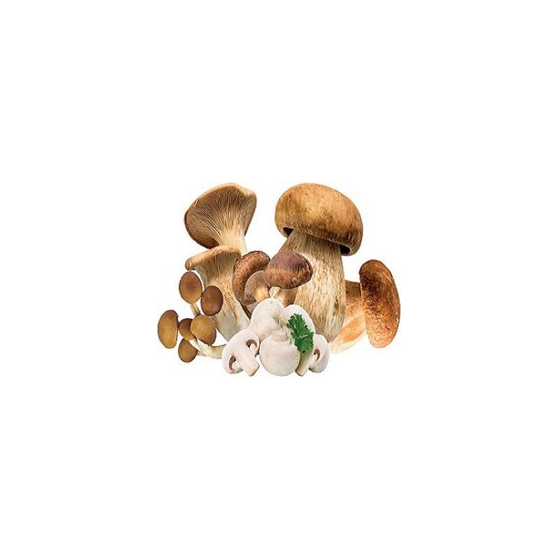 FUNGHI MISTI CON PORCINO CF DA 450 GR