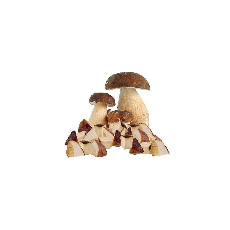 FUNGHI PORCINI A CUBI AA CF DA 1000 GR