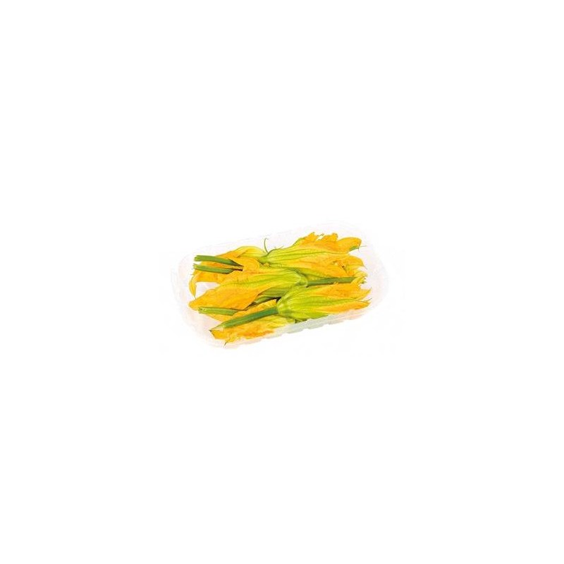 FIORI DI ZUCCA 8 VASCHETTE  DA 120 GR CIRCA