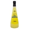 ZANIN LIMONCELLO 1 LT