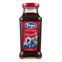 YOGA MIRTILLO 24 X 200 ML VP