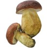 FUNGHI PORCINI INTERI PRIMA 450 GR