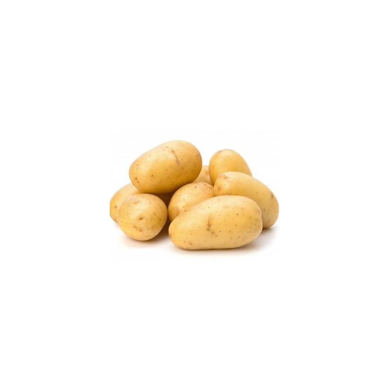 PATATE BIANCHE 4X2,5 KG CIRCA