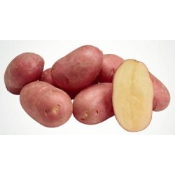 PATATE ROSSE SACCO DA 2,5 KG 10 KG CIRCA