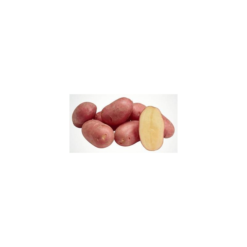 PATATE ROSSE SACCO DA 2,5 KG 10 KG CIRCA