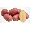 PATATE ROSSE SACCO DA 2,5 KG 10 KG CIRCA