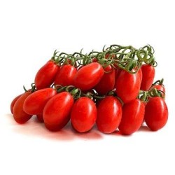 POMODORO DATTERINO 6X500 GR