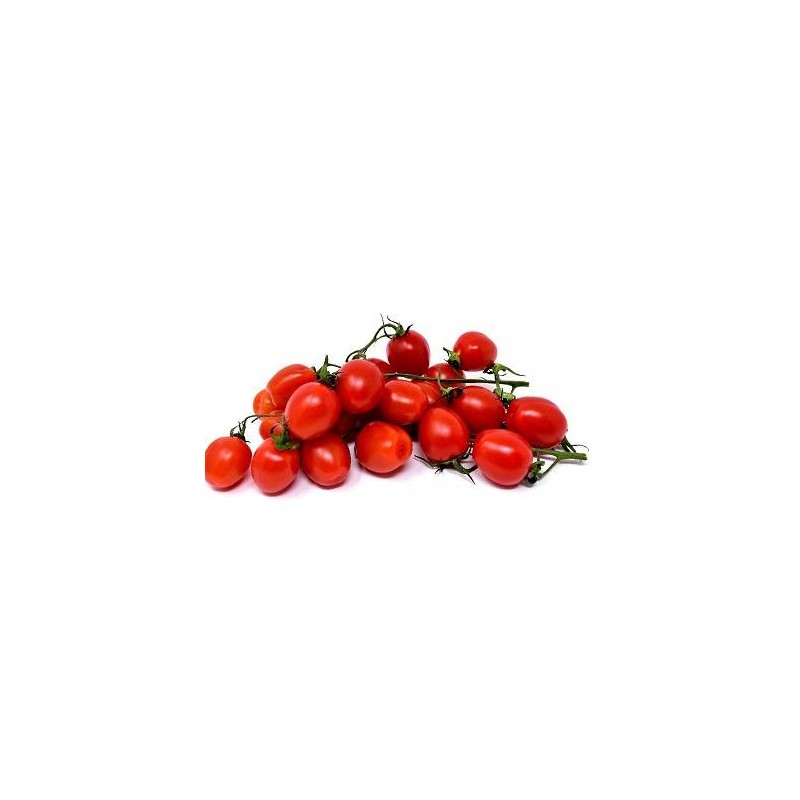 POMODORO PICCADILLY 6X500 GR