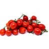 POMODORO PICCADILLY 6X500 GR