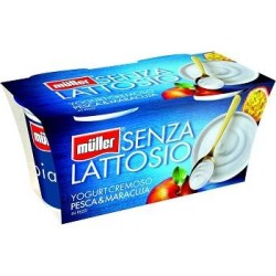 YOGURT PESCA E MARACUJA SENZA LATTOSIO 125 GR X 2