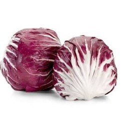 RADICCHIO TONDO 5  KG CIRCA