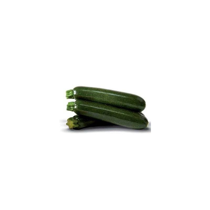 ZUCCHINE NERE 6 KG CIRCA