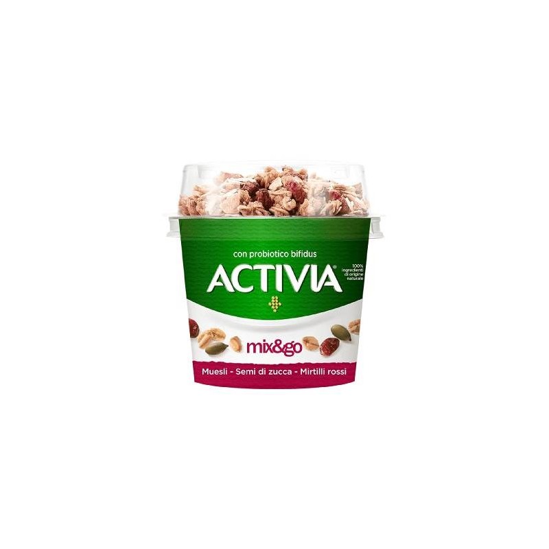 ACTIVIA MIX&GO SEMI MIRTILLO MUESLI 170 GR