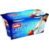 YOGURT ALLA FRAGOLA SENZA LATTOSIO 125 GR X 2