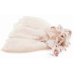 CALAMARI PULITI IQF  U/10 INDIA CF DA 800 GR