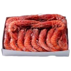 GAMBERO ROSSO SICILIA 3A 1 KG