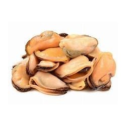 COZZE S/G IQF 9,2 KG