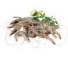 MAZZANCOLLE TROPICALI 60/70 LASTRA DA 2 KG