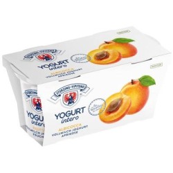 YOGURT ALBICOCCA GR 125gX2  VIPITENO