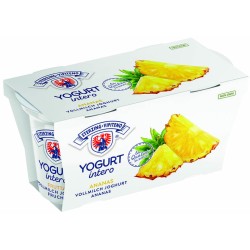 YOGURT ANANAS GR 125gX2  VIPITENO