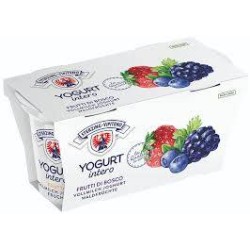 YOGURT AQ FR BOSCO 125gX2  VIPITENO