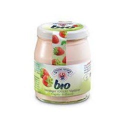 YOGURT BIO VETRO FRAGOLA 150g