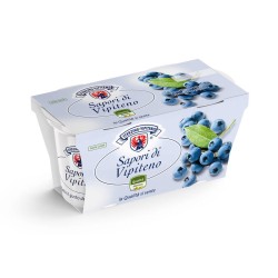 YOGURT MIRTILLO NERO 125gX2 VIPITENO