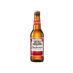 BIRRA BUDWEISER CL 33x24pz VAP