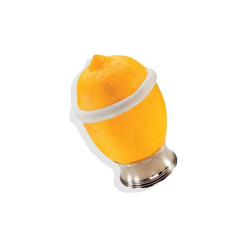 MONOPORZIONE GUSCIO LIMONE 10X100 GR