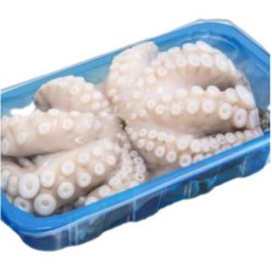 POLPO VASCHETTA 1000/2000 MAROCCO PESO VARIABILE CIRCA 1,5  KG A VASCHETTA