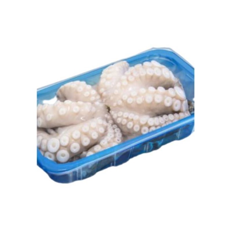 POLPO VASCHETTA 1000/2000 MAROCCO PESO VARIABILE CIRCA 1,5  KG A VASCHETTA