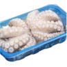 POLPO VASCHETTA 1000/2000 MAROCCO PESO VARIABILE CIRCA 1,5  KG A VASCHETTA