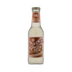 BIBITA BALADIN GINGER BEER  24X20CL. VAP