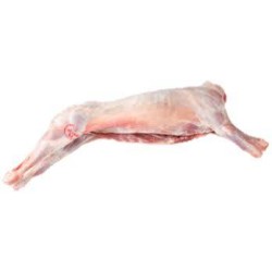 AGNELLO ITALIA S/TESTA S/CORATA 10/13 KG CIRCA