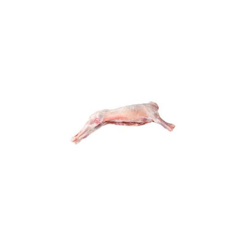 AGNELLO ITALIA S/TESTA S/CORATA 10/13 KG CIRCA