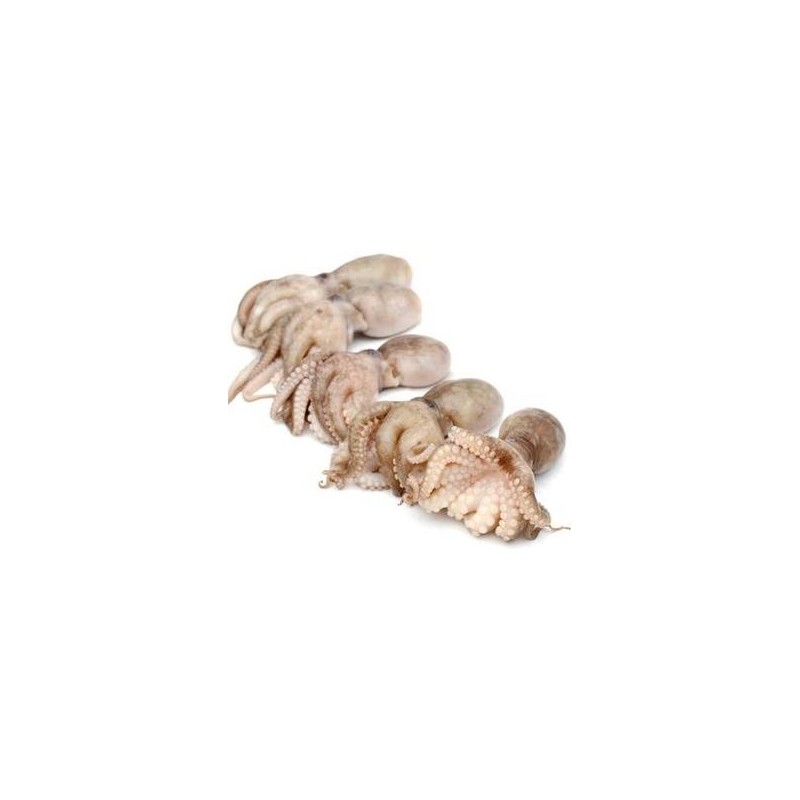 POLPETTI MOSCARDINI INDIA 60UP INDIA BUSTA CF DA 800 GR