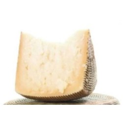 CACIOTTA PEC. PUNTURI CANESTRATO