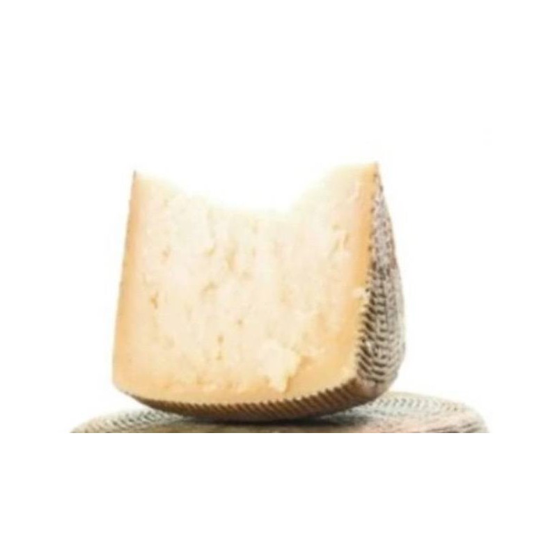 CACIOTTA PEC. PUNTURI CANESTRATO
