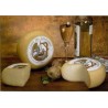 CACIOTTA DEL CONTADINO LATTE OVINO PUNTURI 2 KG CIRCA