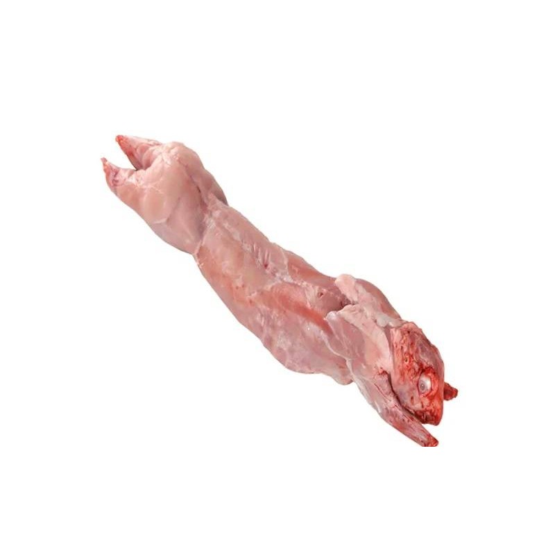 CONIGLIO INTERO KG.1,5 x 3 PZ AIA 4,5 KG CIRCA