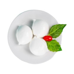 LATTICINI COL FIORITO BOCCONCINI GR.100 VASCHETTA 1 KG