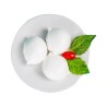 LATTICINI COL FIORITO BOCCONCINI GR.100 VASCHETTA 1 KG
