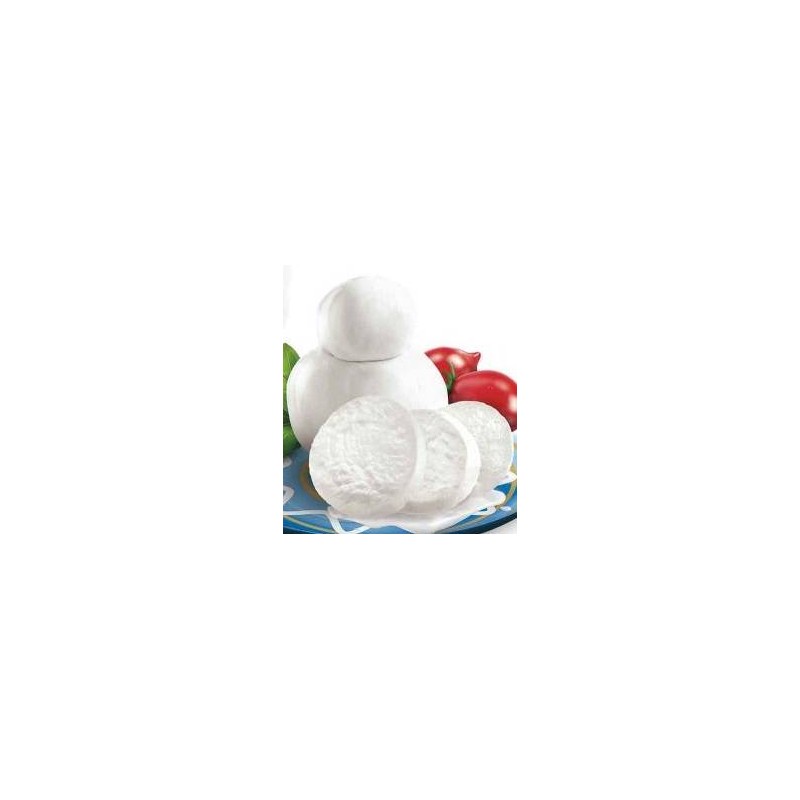LATTICINI FRANCIA  FIORDILATTE   GR.350 VASCHETTA 3 KG