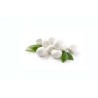 LATTICINI ROCCA CILIEGINE 20GR CF GR.250