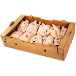POLLO BUSTO 10X1,100 KG CT 11 KG CIRCA