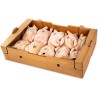 POLLO BUSTO 10X1,100 KG CT 11 KG CIRCA
